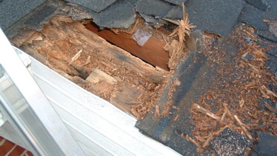 Top Common Reasons for Roof Damage