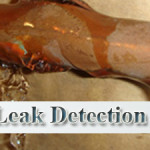 Gainesville Florida Leak Detection